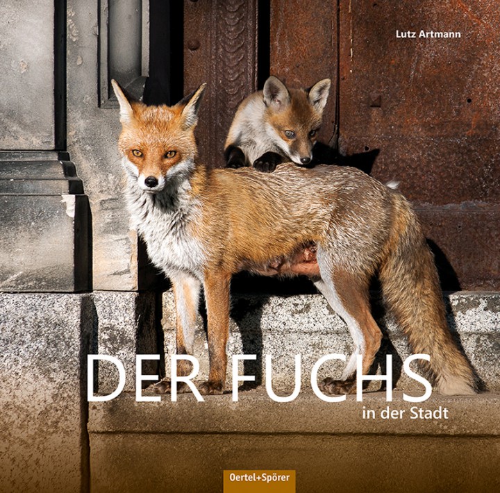 Fuchsbuch Cover